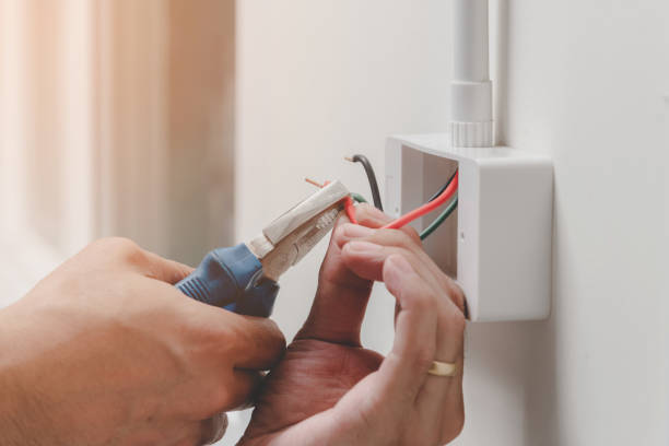 Best Electrical Outlet Installation and Repair  in Adelino, NM