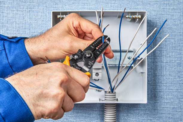 Best Electrical Remodeling Services  in Adelino, NM